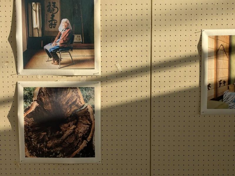 【カミラさんの作品】