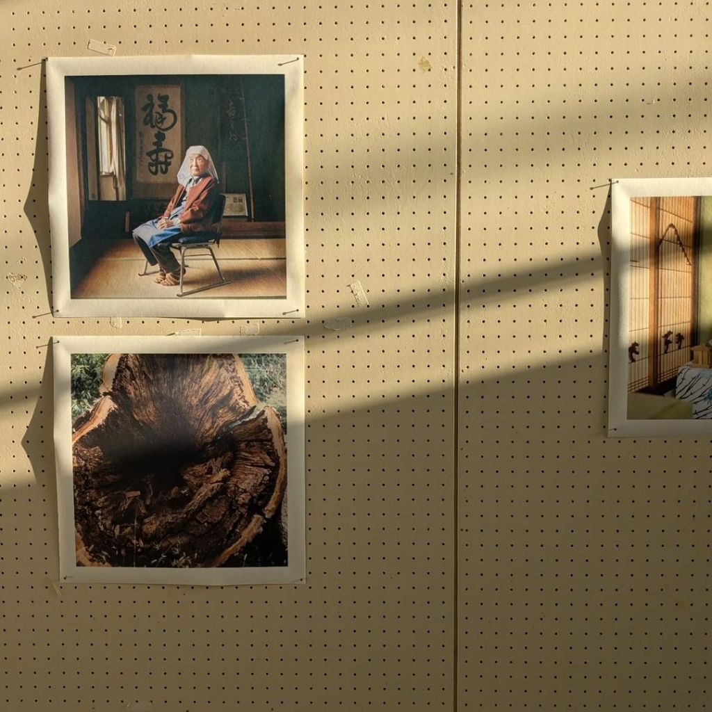 【カミラさんの作品】